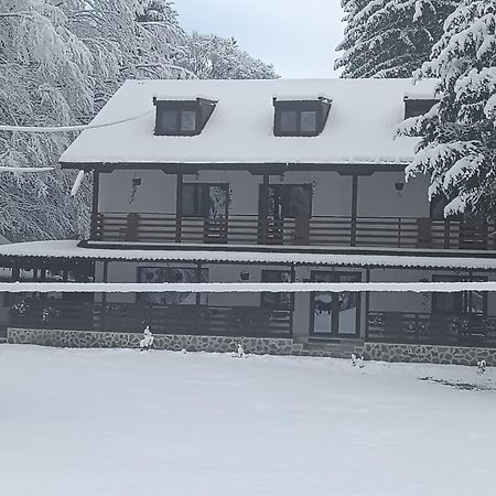 Pensiunea Vinatur Felsőporumbák Kültér fotó