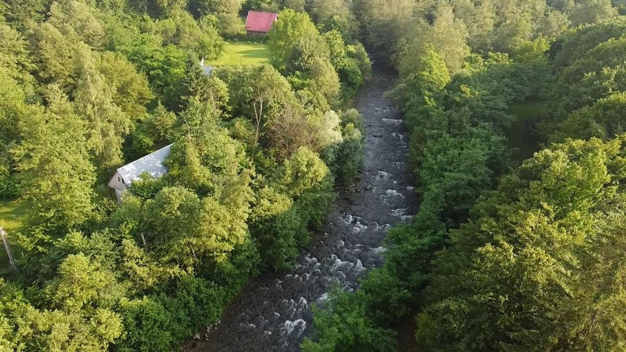Pensiunea Vinatur Felsőporumbák Kültér fotó